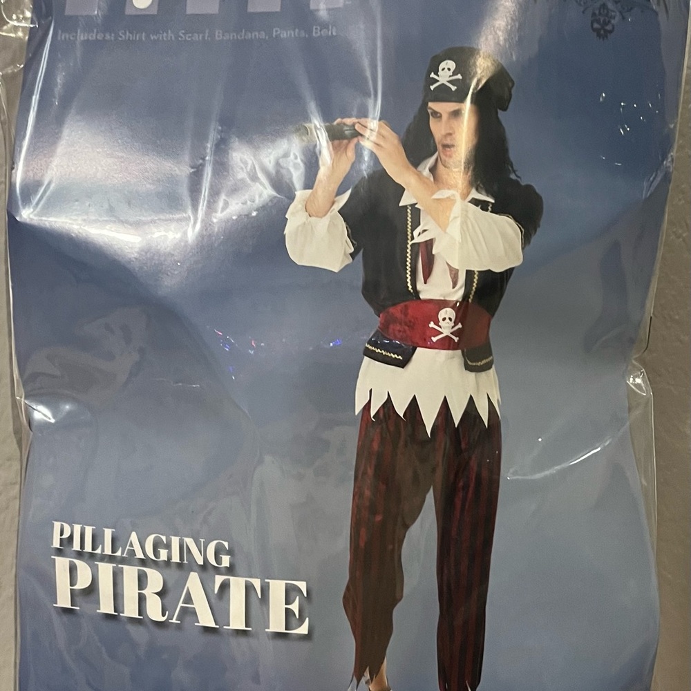 Pillaging Pirate Adult Medium